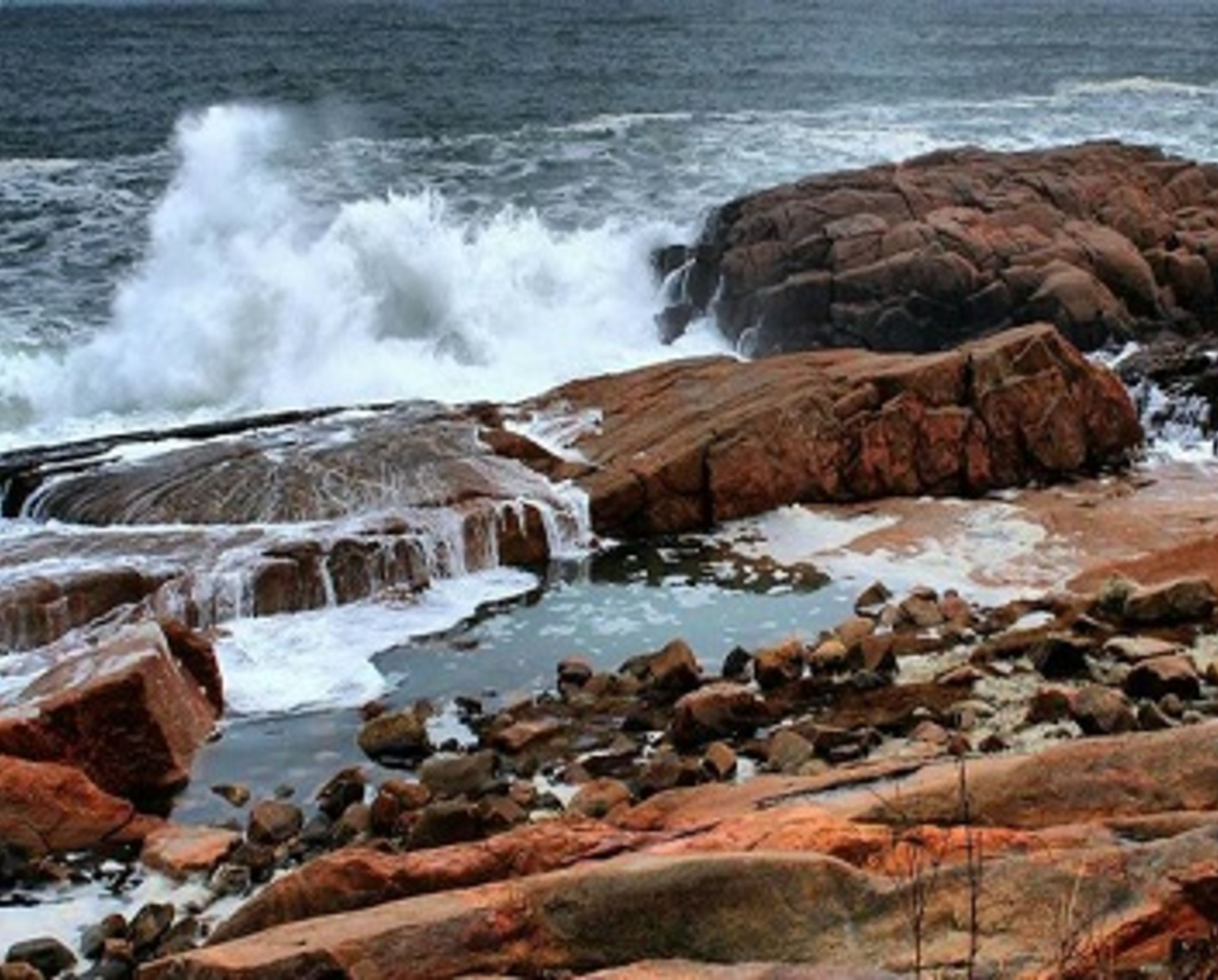 Munroe Real Estate Group